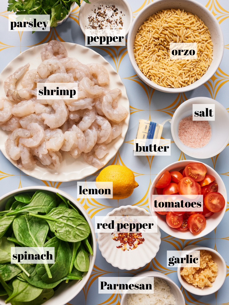 shrimp and orzo recipe ingredients with text