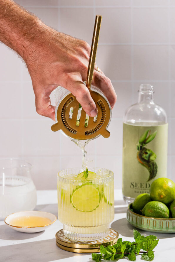 Minty Mojito Mocktail